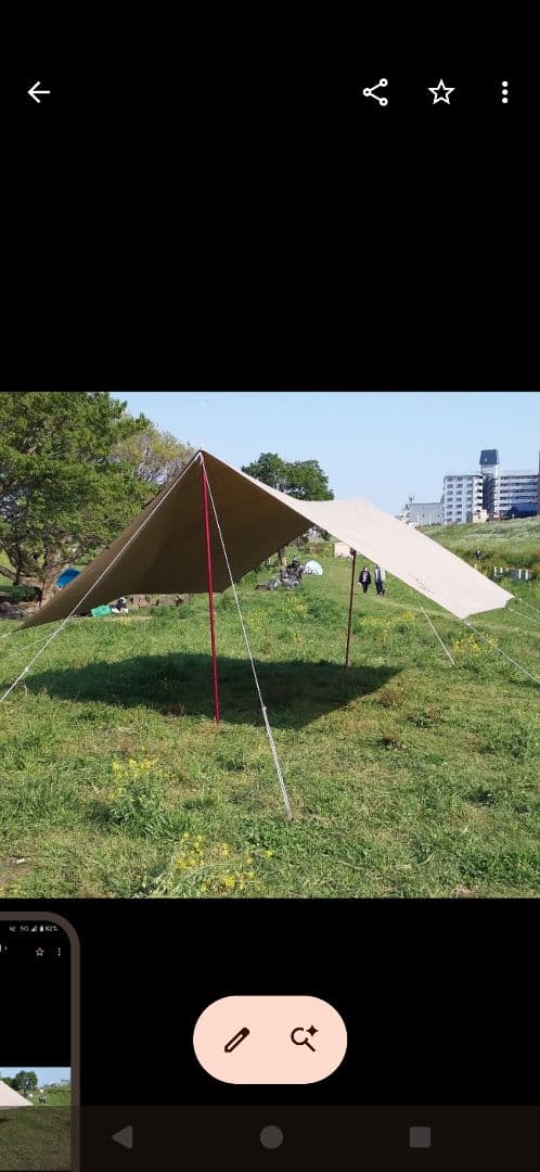 計55000円　セット DODタープ　スノーピークペグハンマー　エリッゼステーク