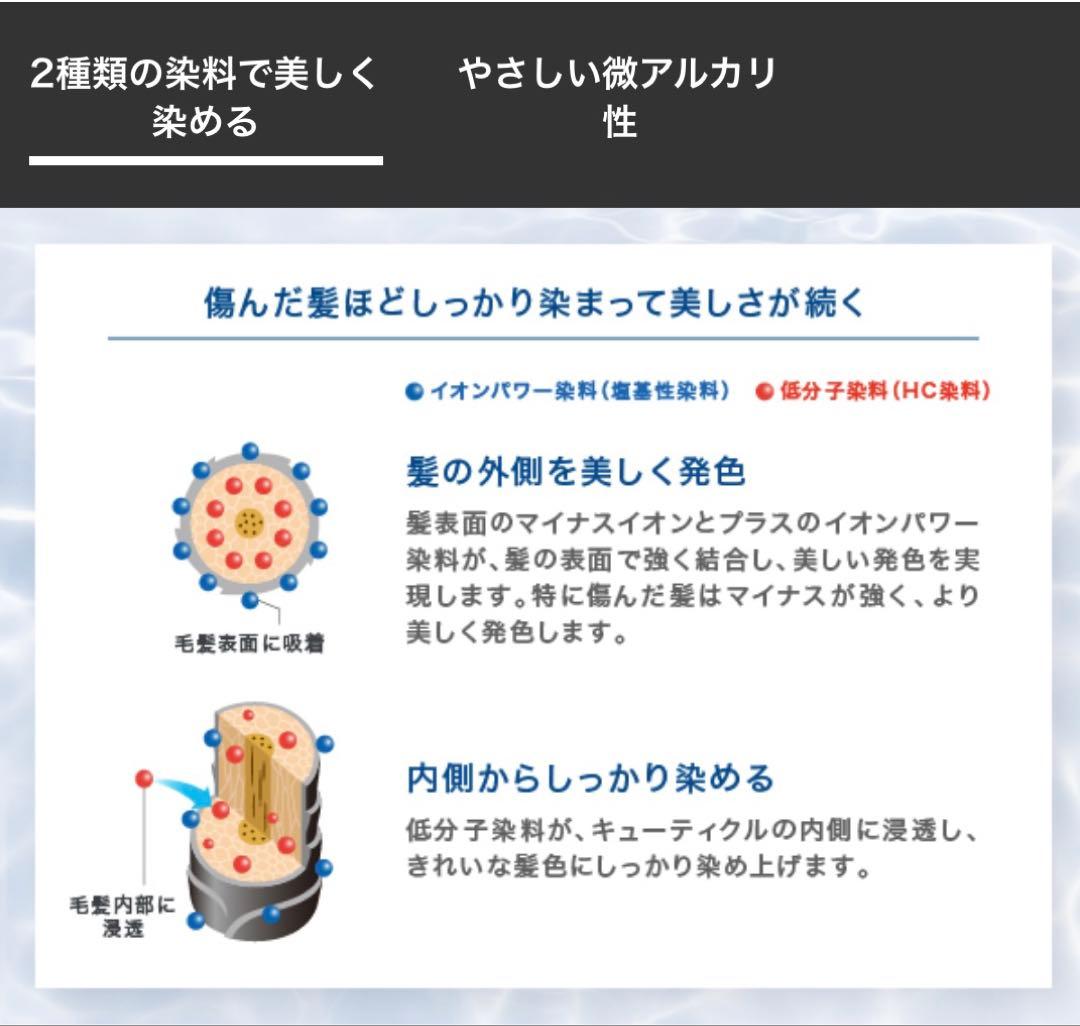 LPLPヘアカラートリートメント　ダークブラウン