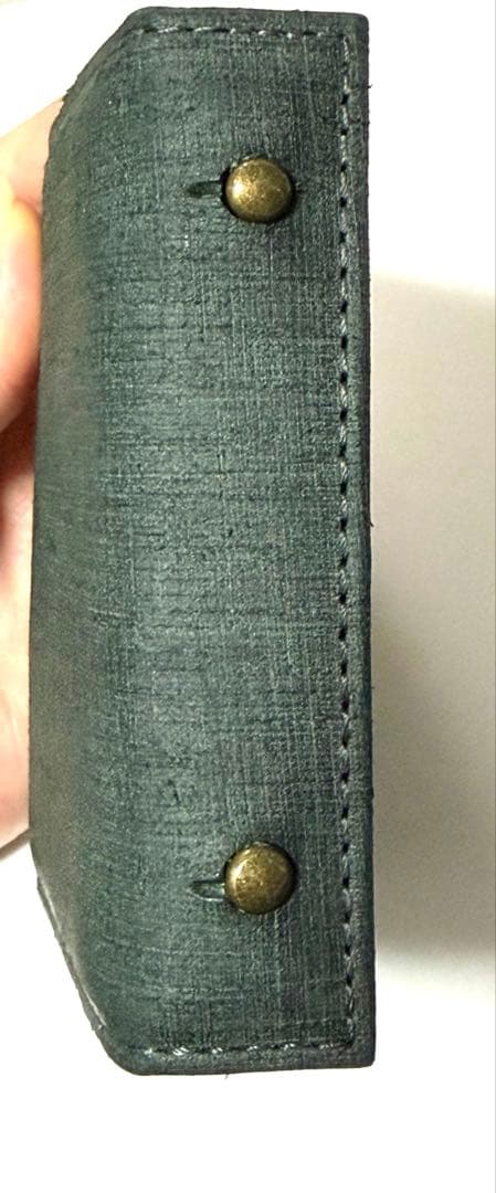 ミッレフォッリエp25、クアドレッティグリーン