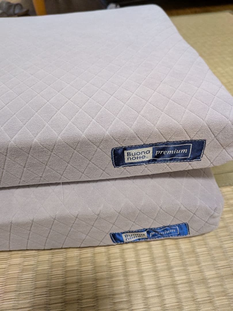 西川　ボナノッテプレミアム　シートクッション2個セット