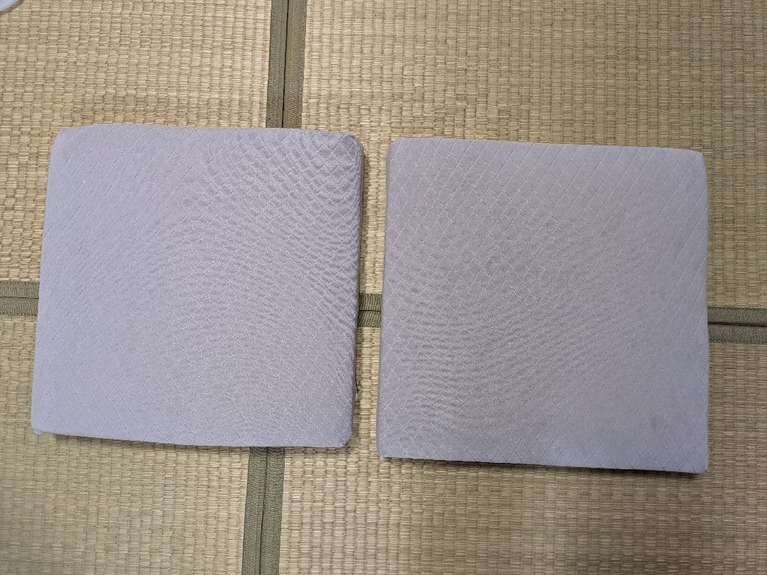 西川　ボナノッテプレミアム　シートクッション2個セット