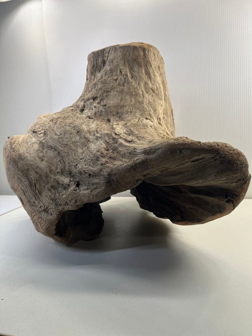 k64大型流木 アク抜き済み 爬虫類シェルター レイアウト用 登り木 インテリア