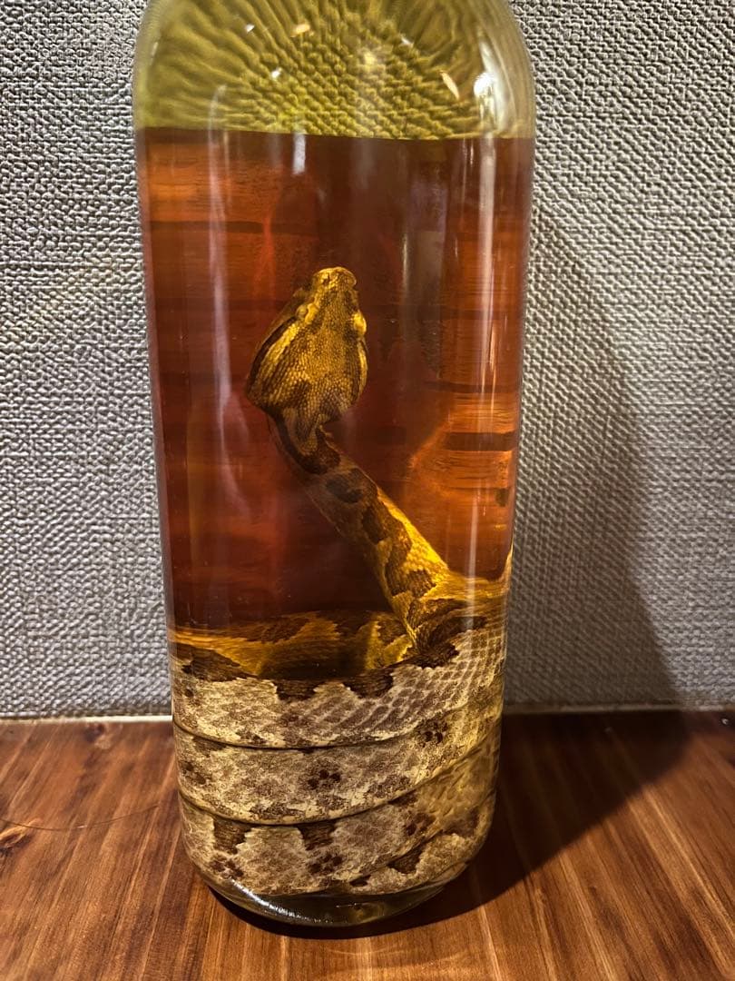 限定品うるまハブ酒5年ハブ入り