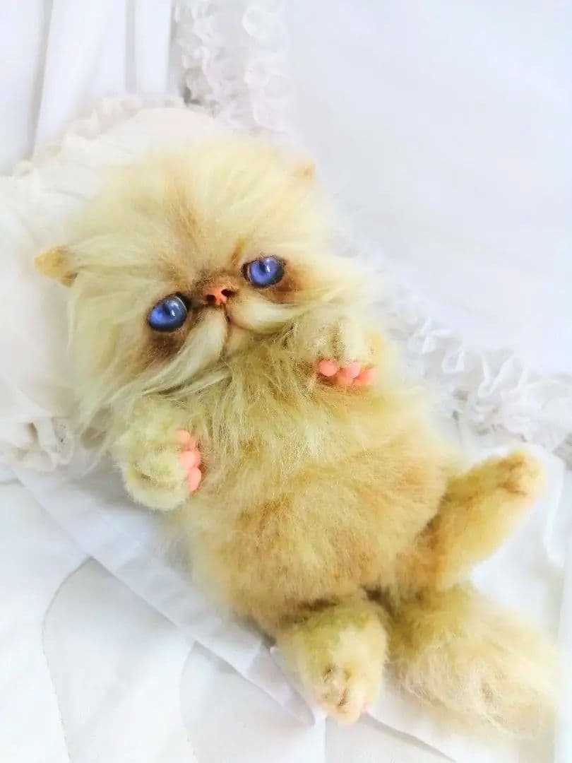 子猫ちゃん♡エキゾチックベビー♡お腹ぽっこり♡アートドール♡ぬいぐるみ♡