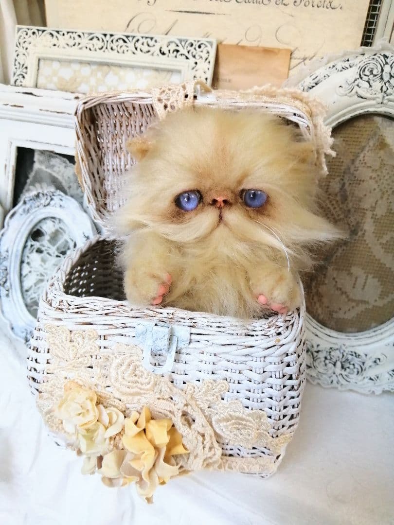 子猫ちゃん♡エキゾチックベビー♡お腹ぽっこり♡アートドール♡ぬいぐるみ♡