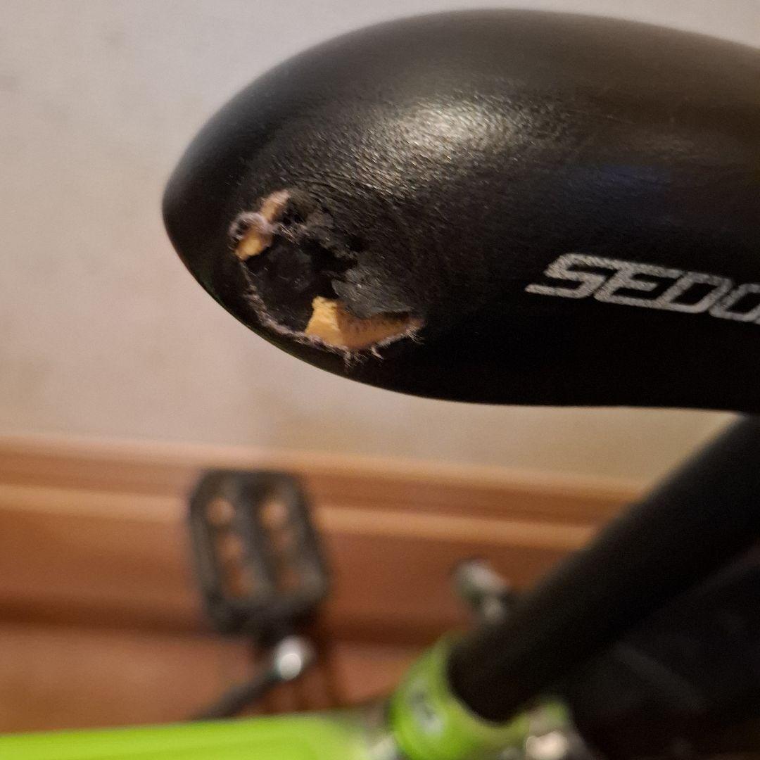 22インチ　横浜市　引き取り可能な方のみ　　子供　自転車 　黄緑　ヘルメット付き