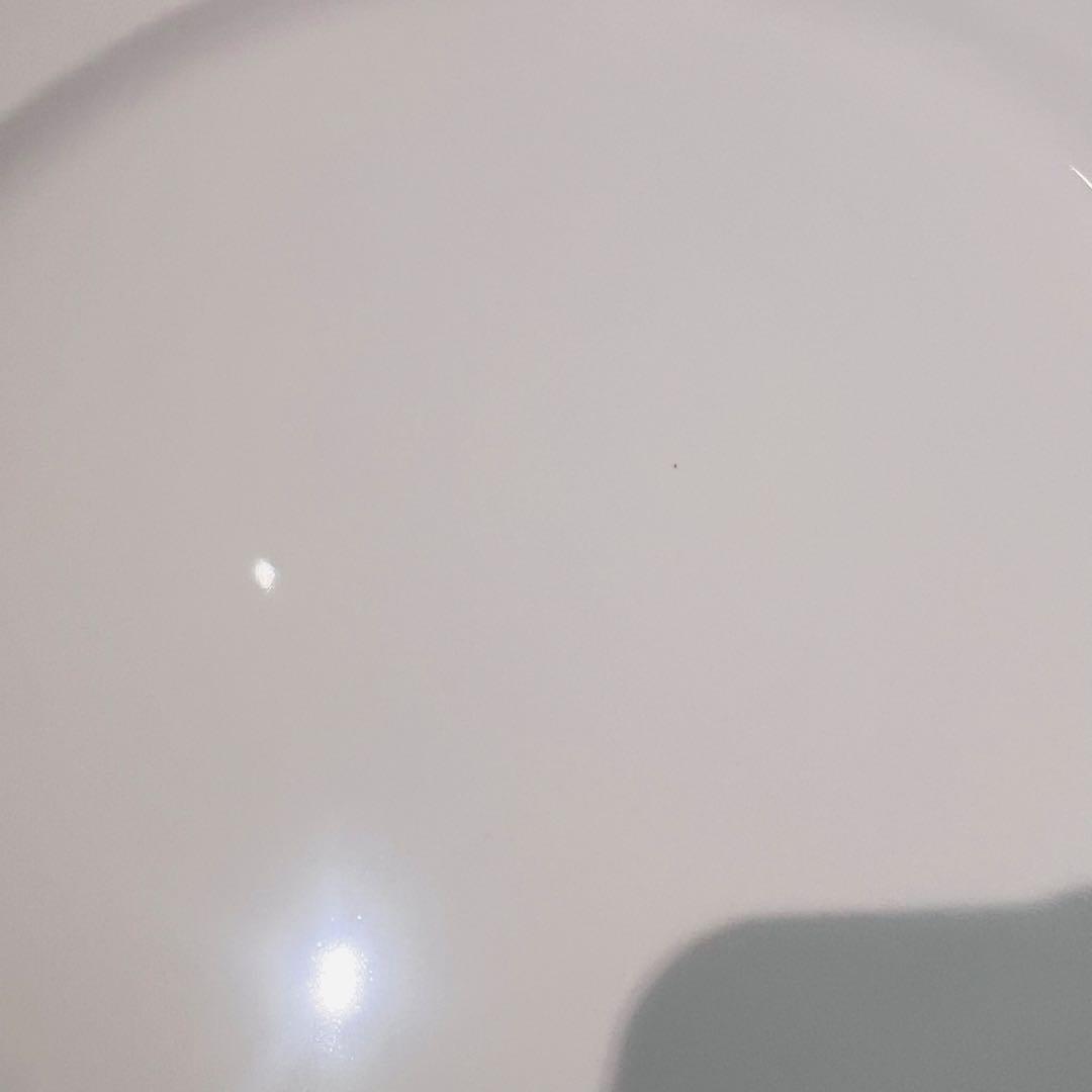 Crate & Barrel STACCATO プレート皿セット