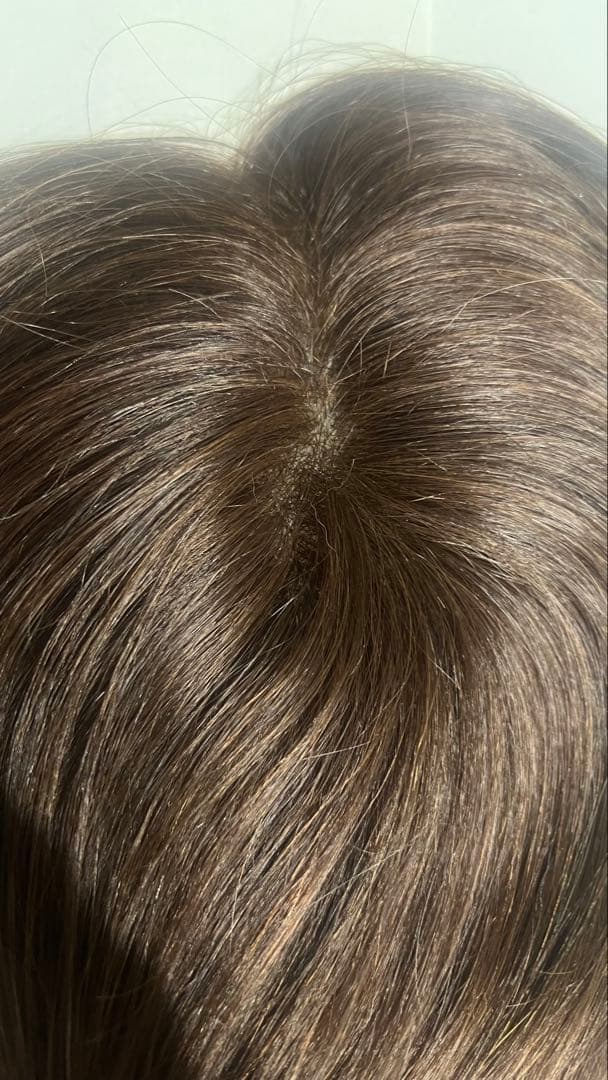 Reju リージュ 部分ウィッグ 人毛100% かつら 栗色 茶色 20cm