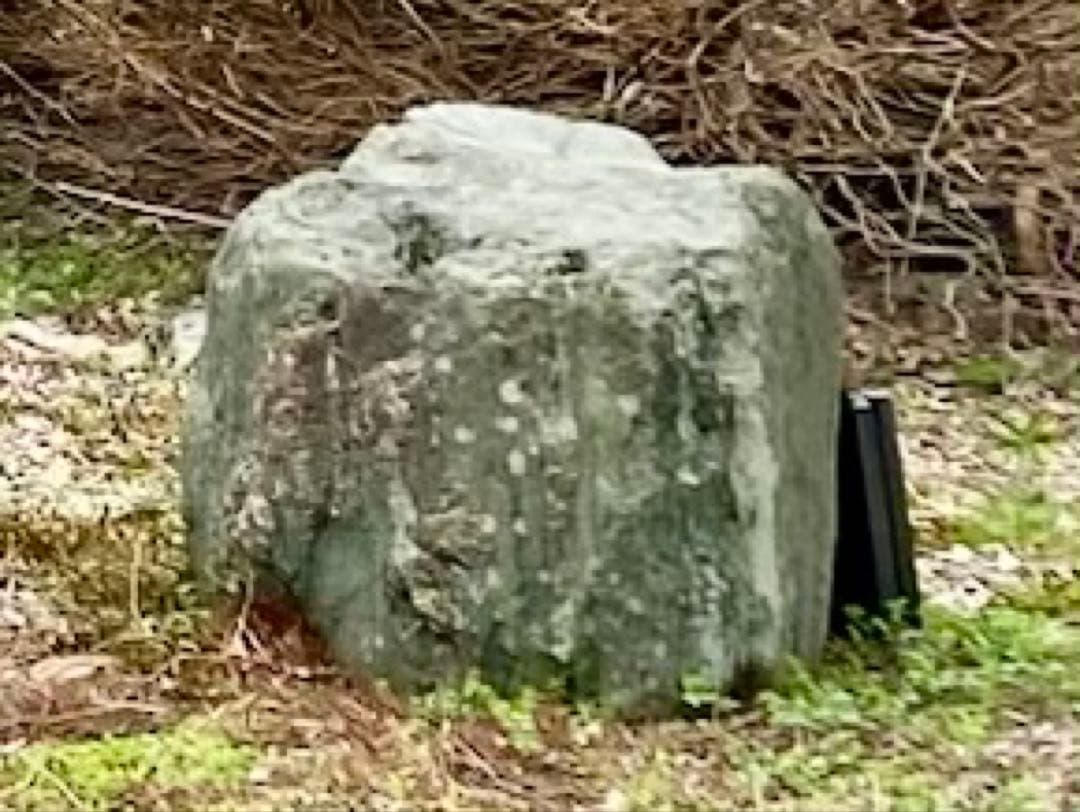 庭石 大 約90×50×45㎝ まとめ割