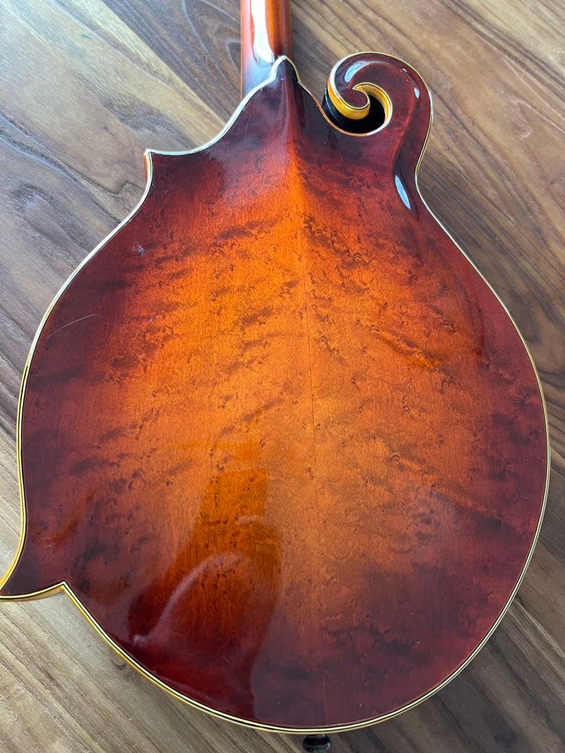 Blue Bell F-15 フラットマンドリン （富士弦）フジゲン　ビンテージ