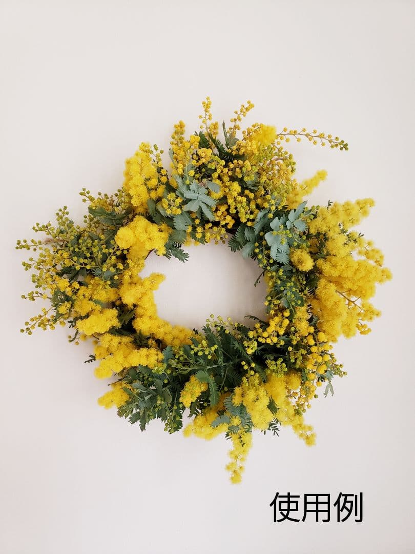 ＊ミモザ生花＊　ご相談窓口〈2026年〉