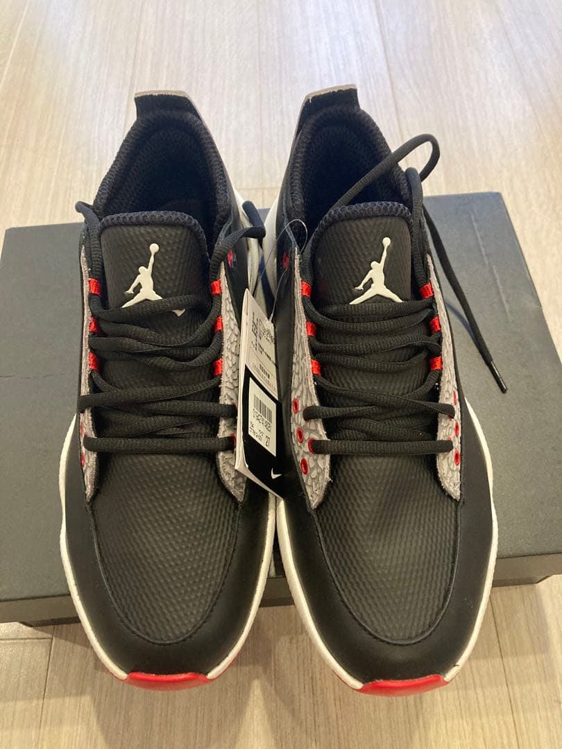 シューズ(男性用) JORDAN ADG2