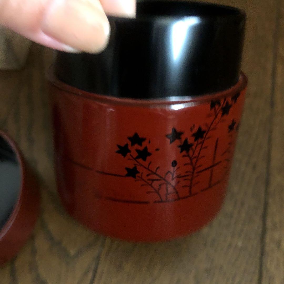 茶道具 棗 光雲作 卯花垣に郭公 面中次