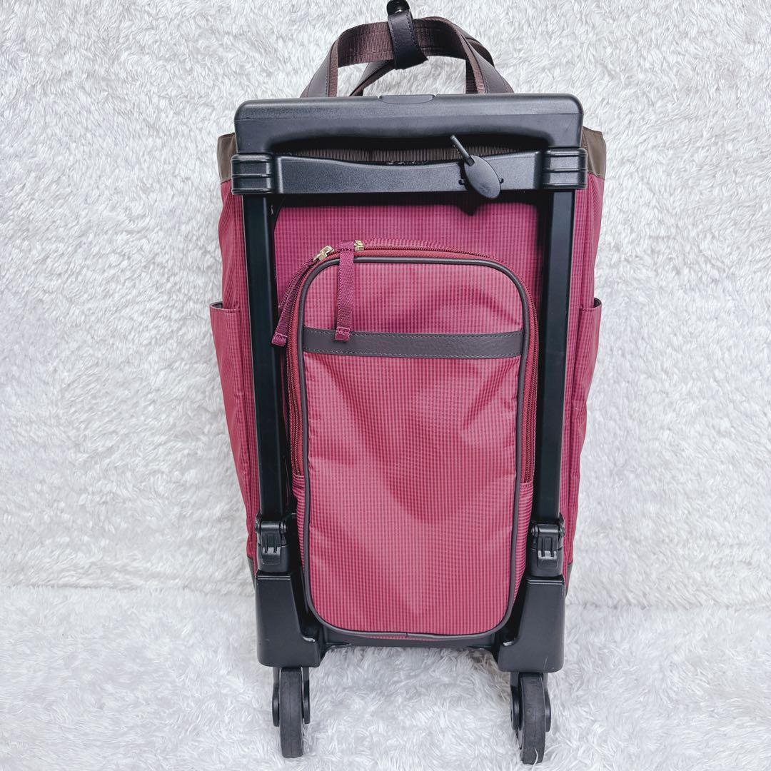 【未使用級✨】SWANY スワニー ルバンドⅢ 4輪ストッパー付 キャリーバッグ
