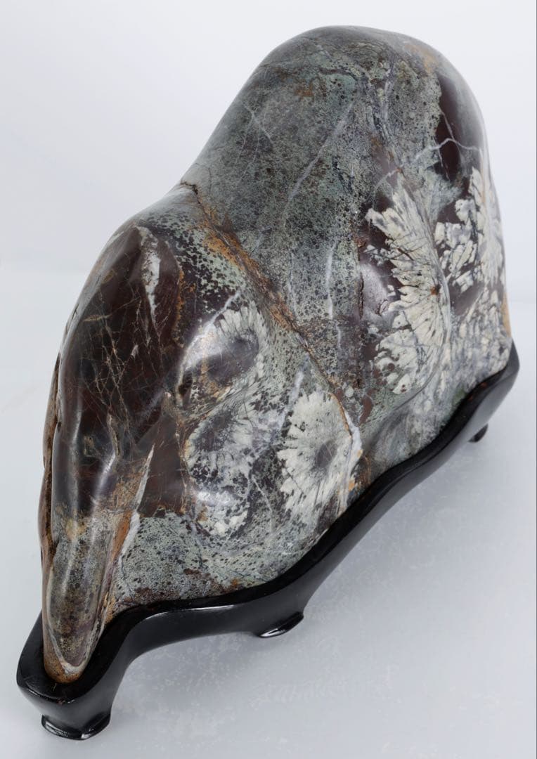 菊花石 紋石 6kg 台座付 鑑賞石 原石 自然石 美石 水石 盆石 飾石 磨石