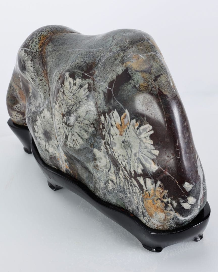 菊花石 紋石 6kg 台座付 鑑賞石 原石 自然石 美石 水石 盆石 飾石 磨石