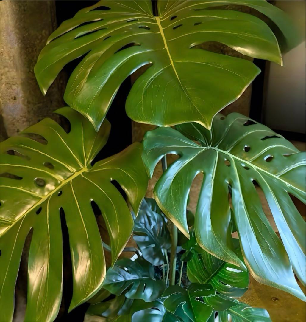 光触媒　人工観葉植物　ウォールグリーン　フェイクグリーン　バリ風特大モンステラ8