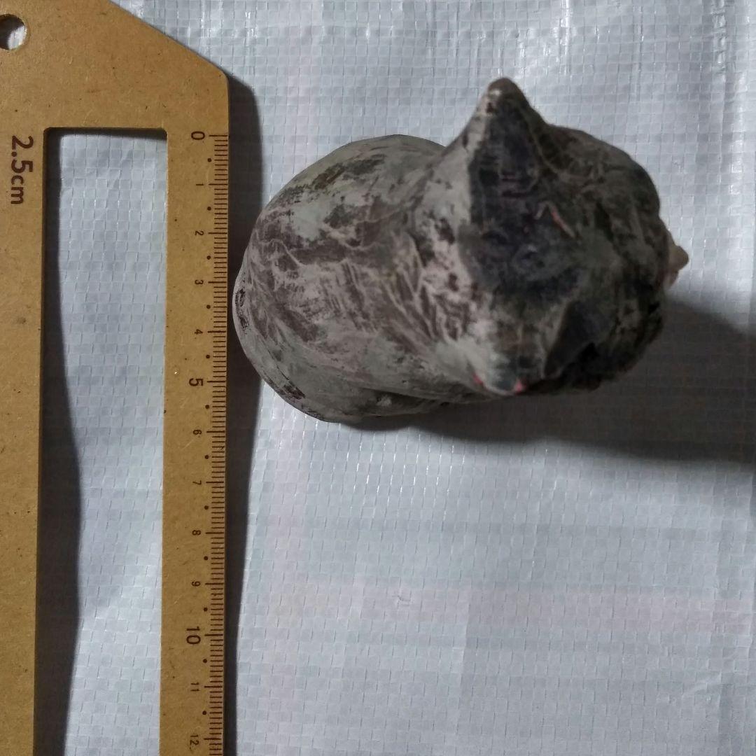 にしおゆき 猫 置物