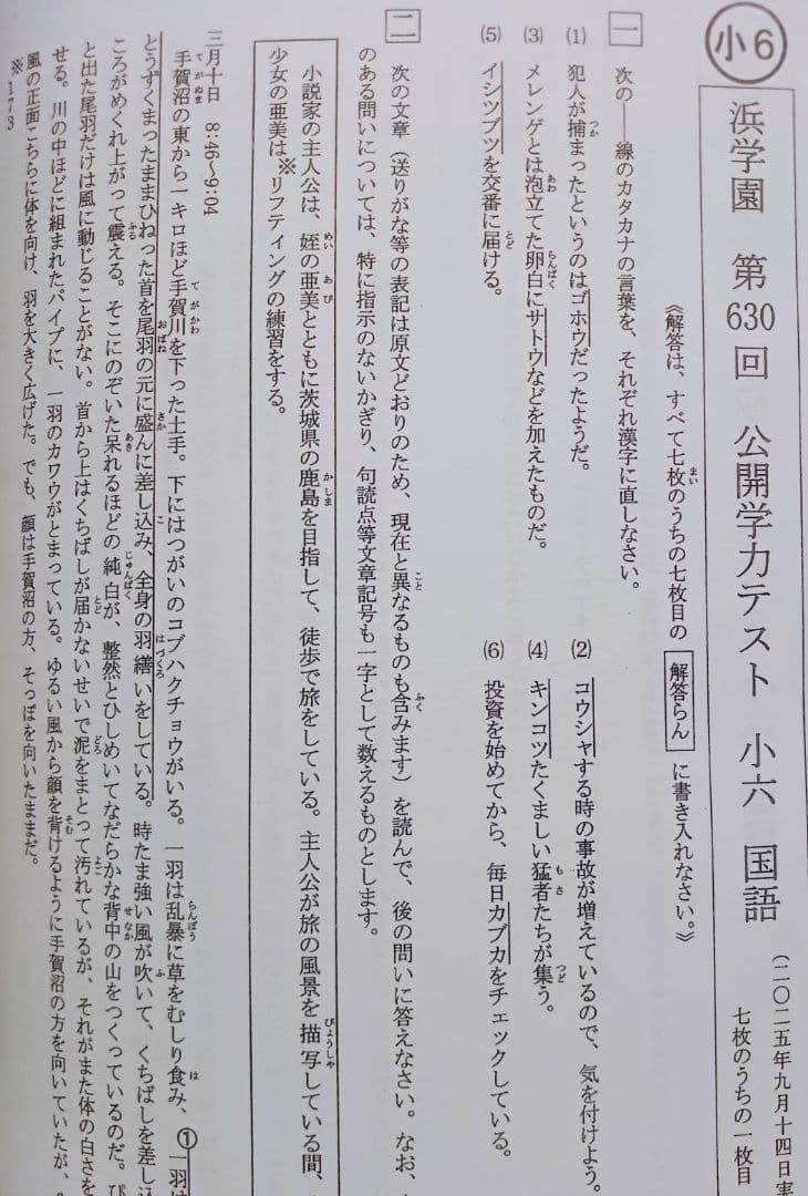 浜学園　小６　公開学力テスト　３教科　算数　国語　理科　９年分