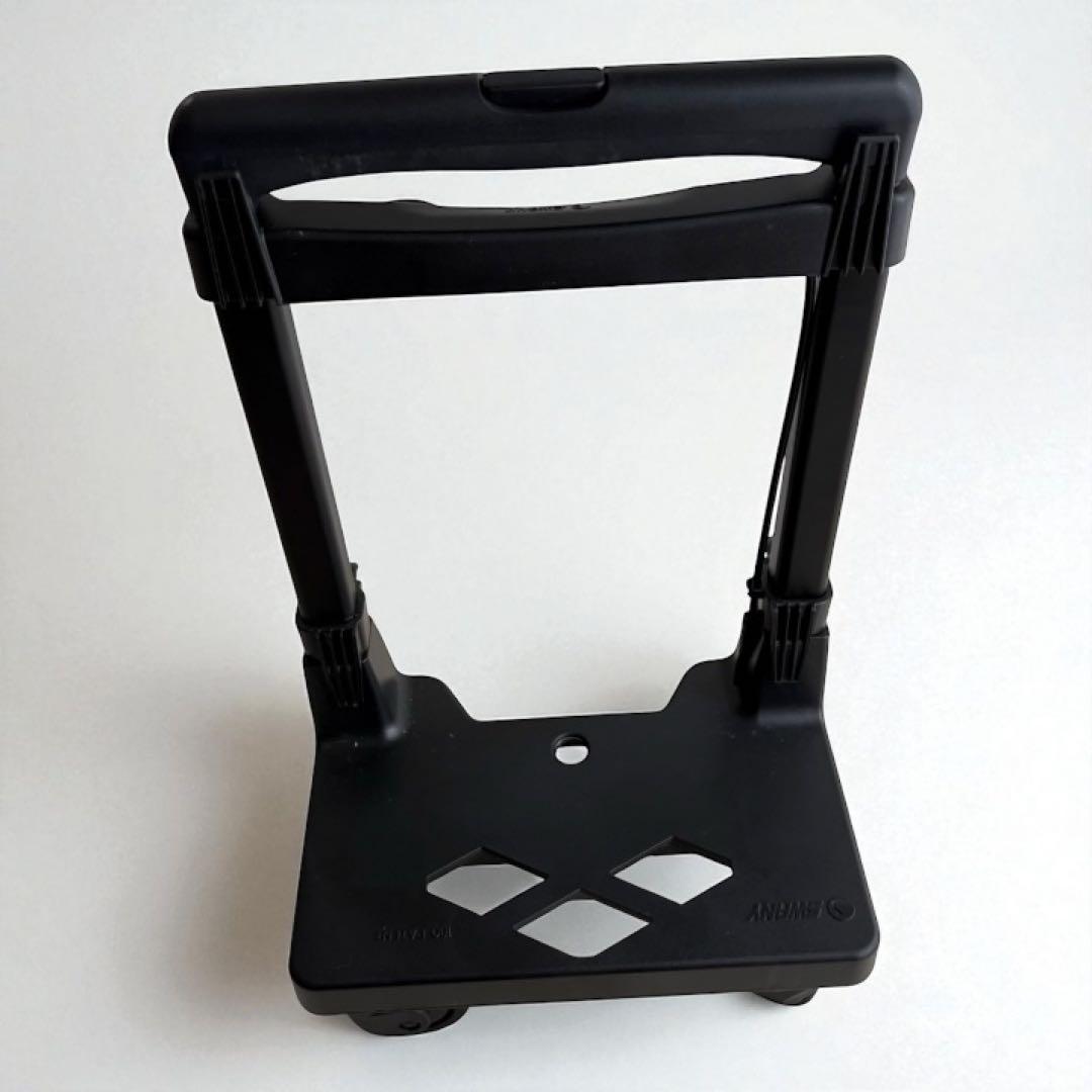 SWANY × 近沢レースの希少コラボ！エレガントな花柄刺繍キャリーバッグ