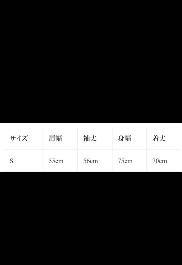 KANEMASA PHIL. 46G Artisan Shirt Sサイズ