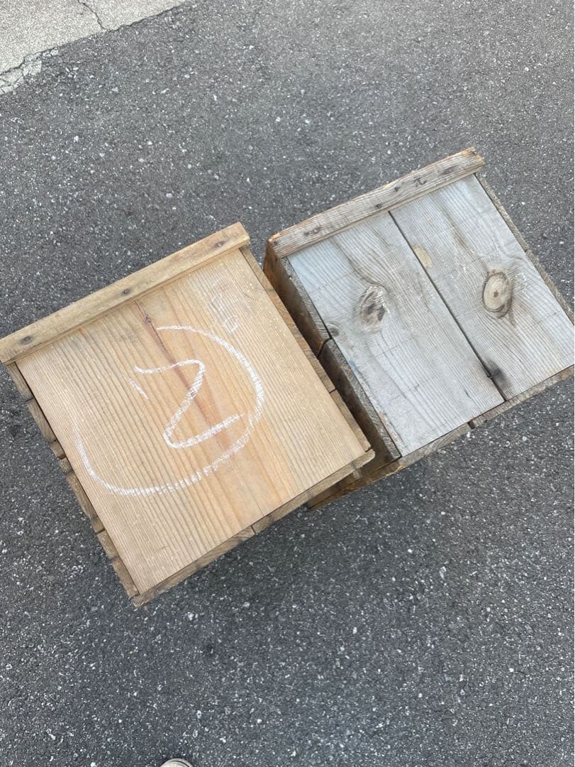 ⑳10箱セット送料無料リンゴ箱りんご箱C品 木箱