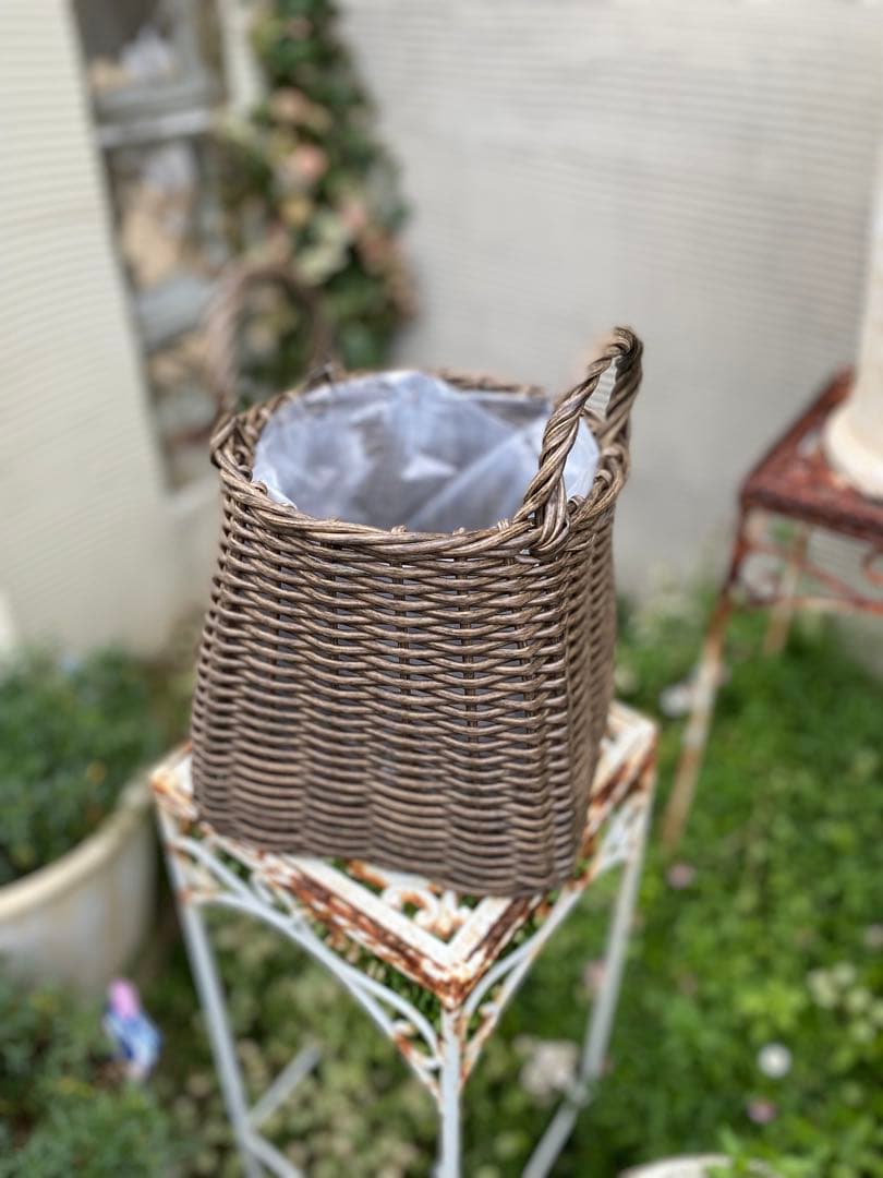 葉牡丹とビオラの寄せ植え【現品】