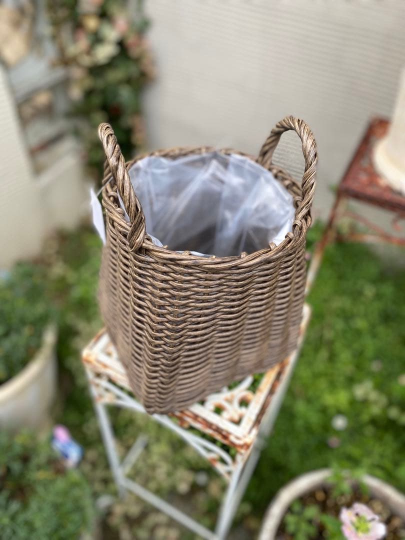 葉牡丹とビオラの寄せ植え【現品】