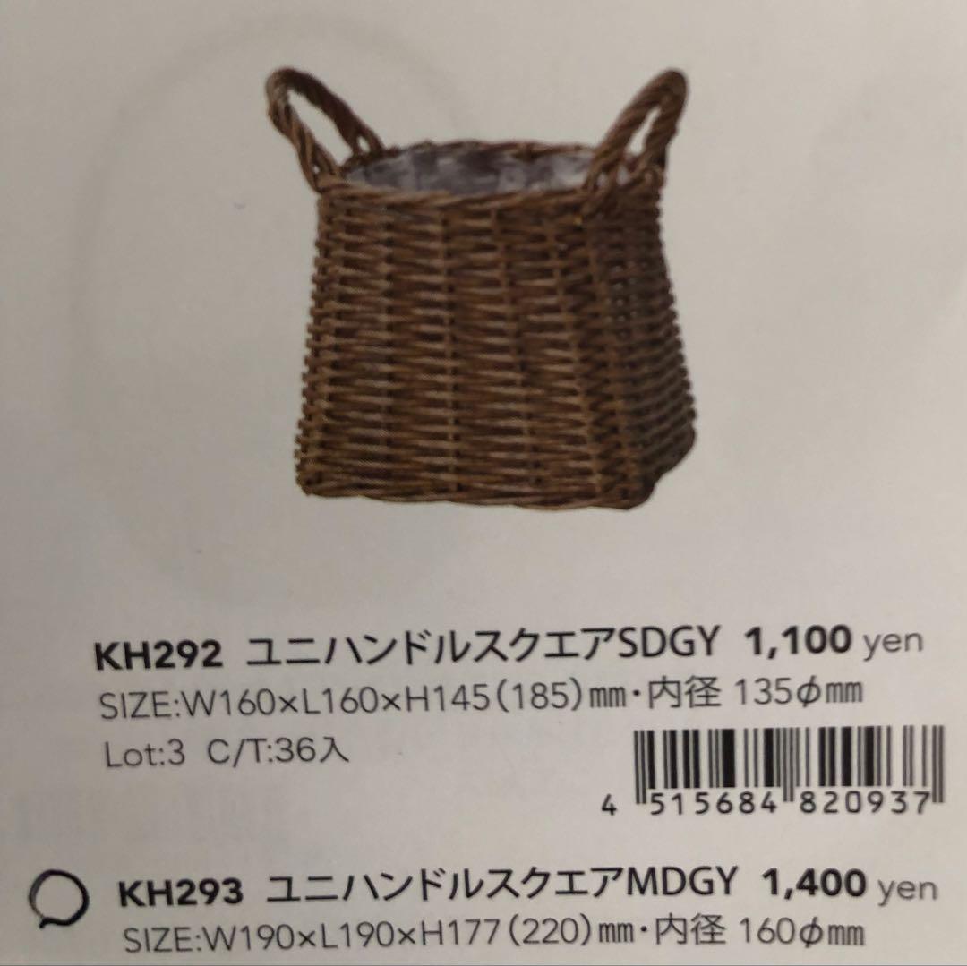 葉牡丹とビオラの寄せ植え【現品】