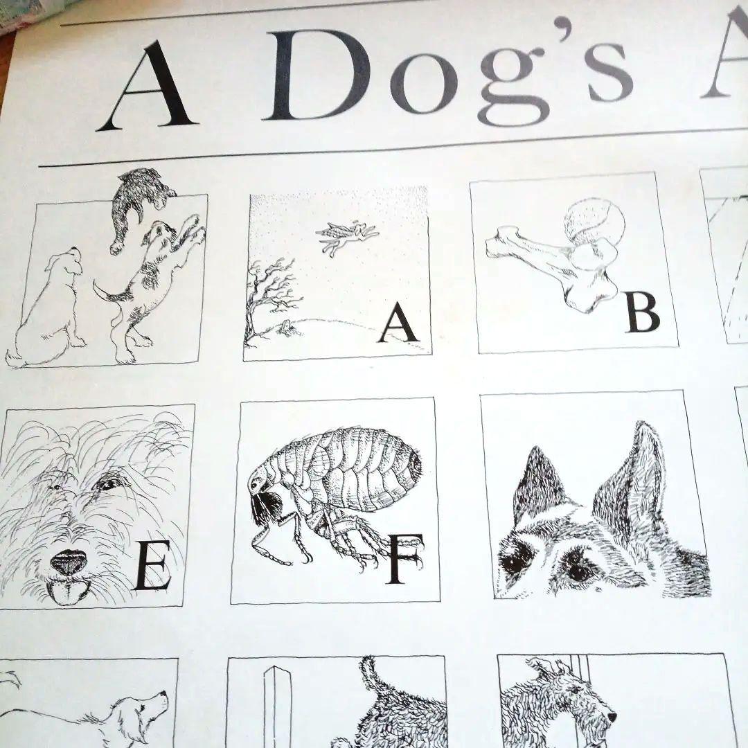 A Dog's /A Cat's イラスト大判ABCポスター 2枚/円筒容器