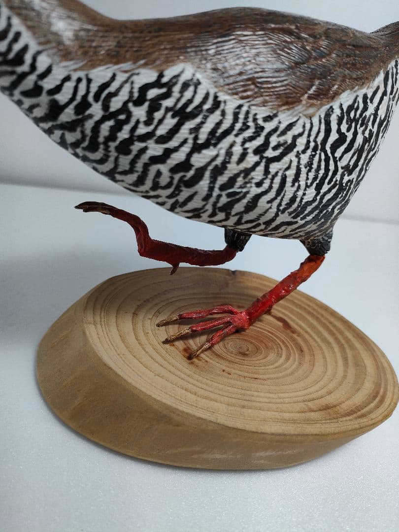 ヤンバルクイナ　バードカービング