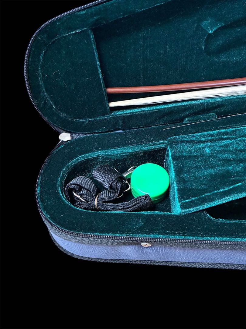 美品 hallstatt ハルシュタット CV-210E エレキバイオリン 黒