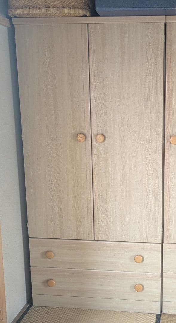 ライトウッド 2ドア 収納キャビネット