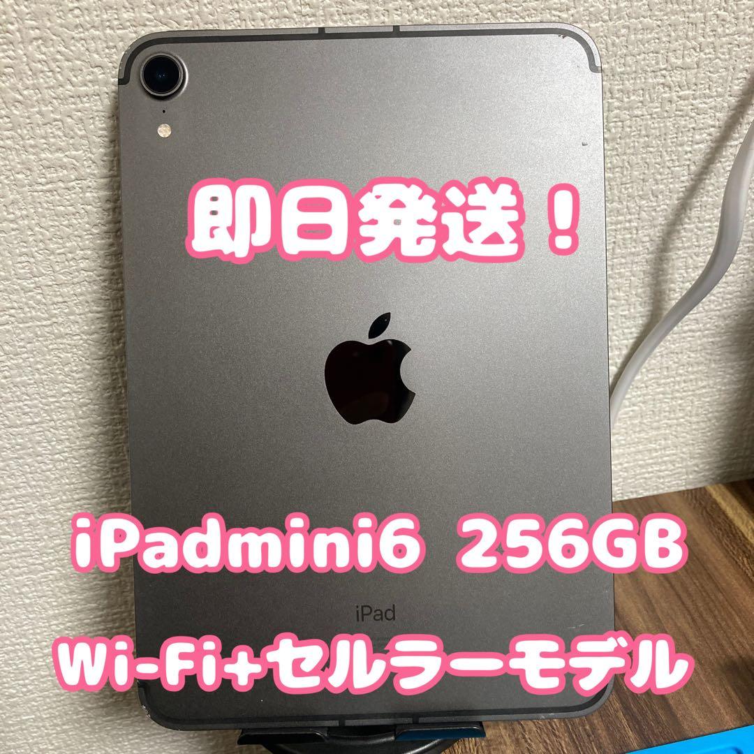 【最終値下げ】iPadmini6 Wi-Fi+セルラーモデル 256GB