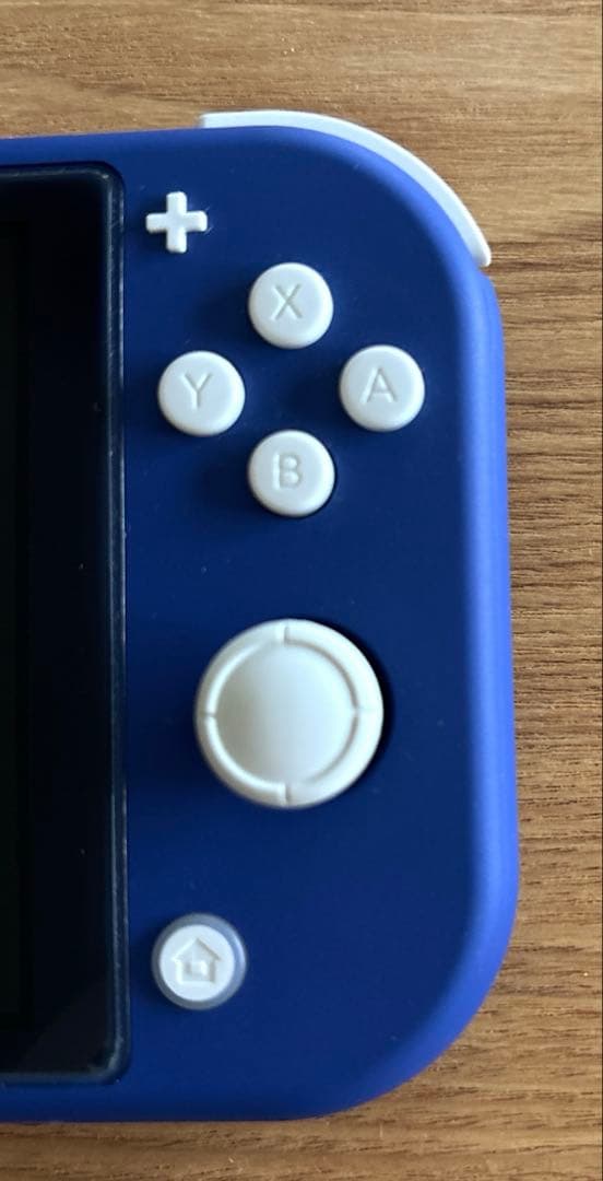 【64GBカード・電源・カバー・保護フィルム・箱付き】ニンテンドースイッチライト