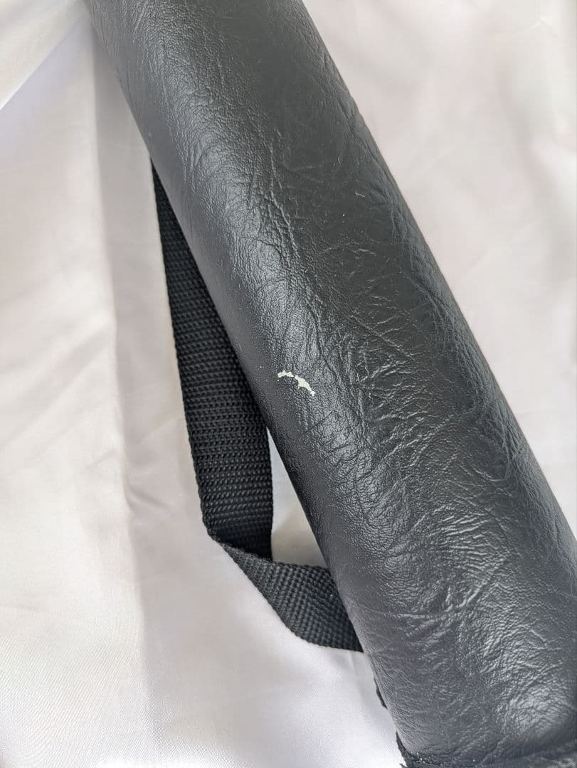 William ビリヤードキュー ケース付き