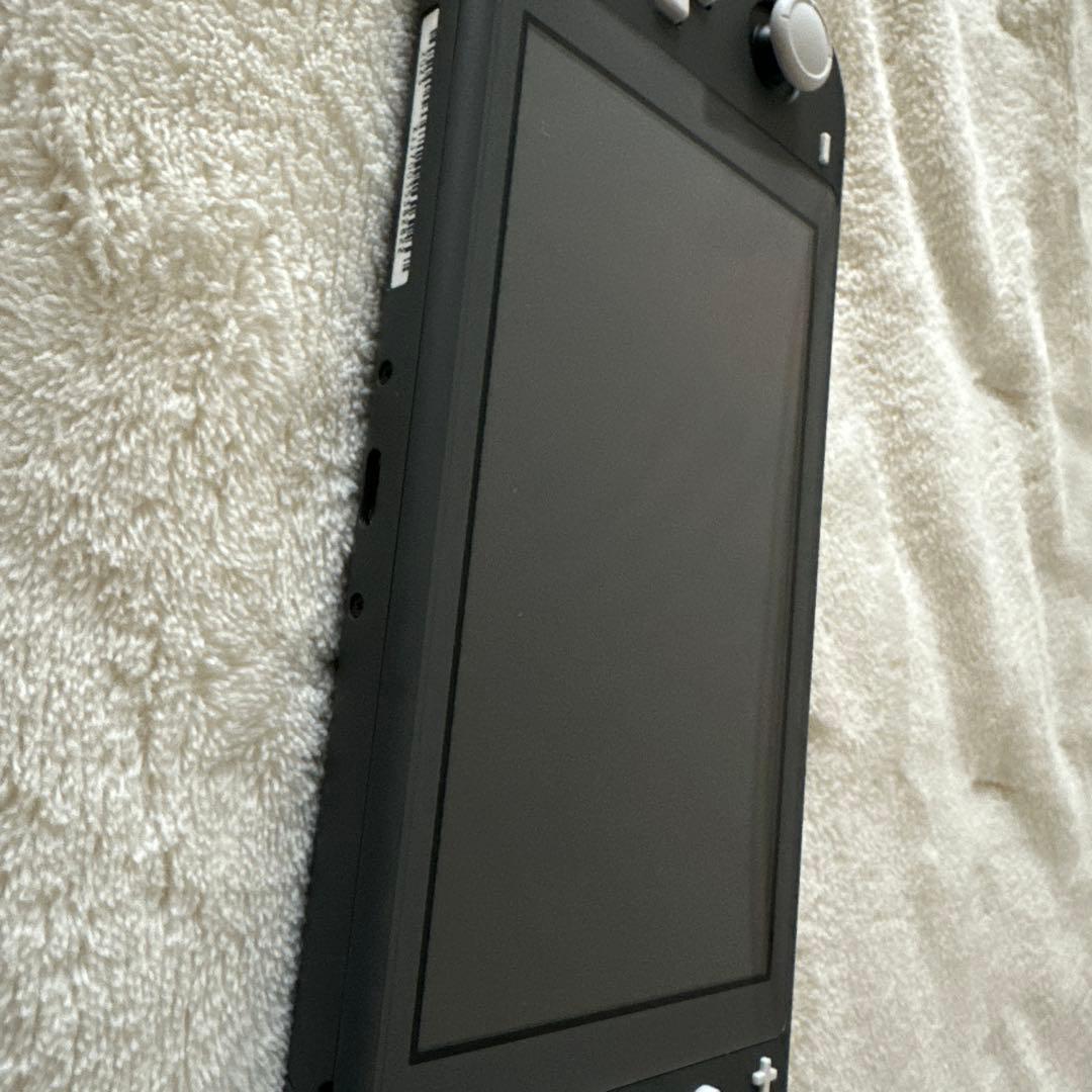 Nintendo Switch Lite グレー　ケース、マリオカセット付き