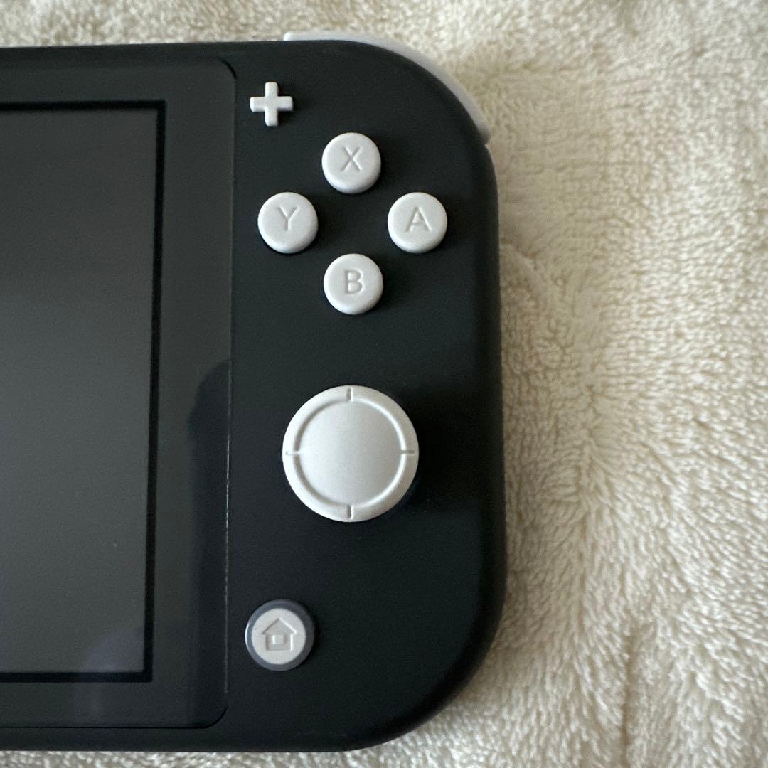 Nintendo Switch Lite グレー　ケース、マリオカセット付き