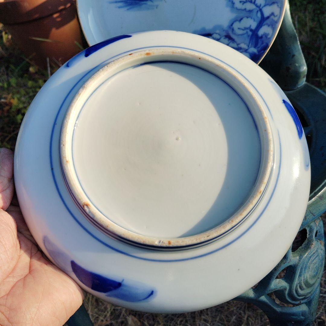 古伊万里染め付け2枚