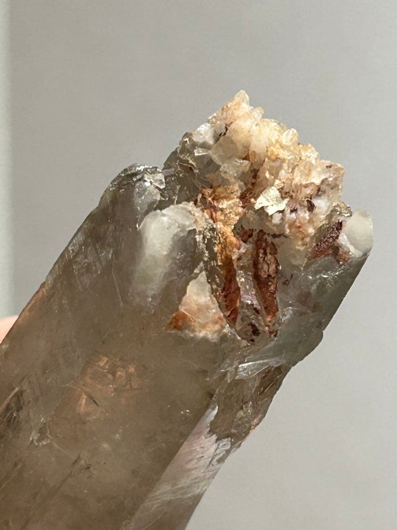 成長の軌跡を刻む ― 曲がり水晶 スモーキークォーツ 原石