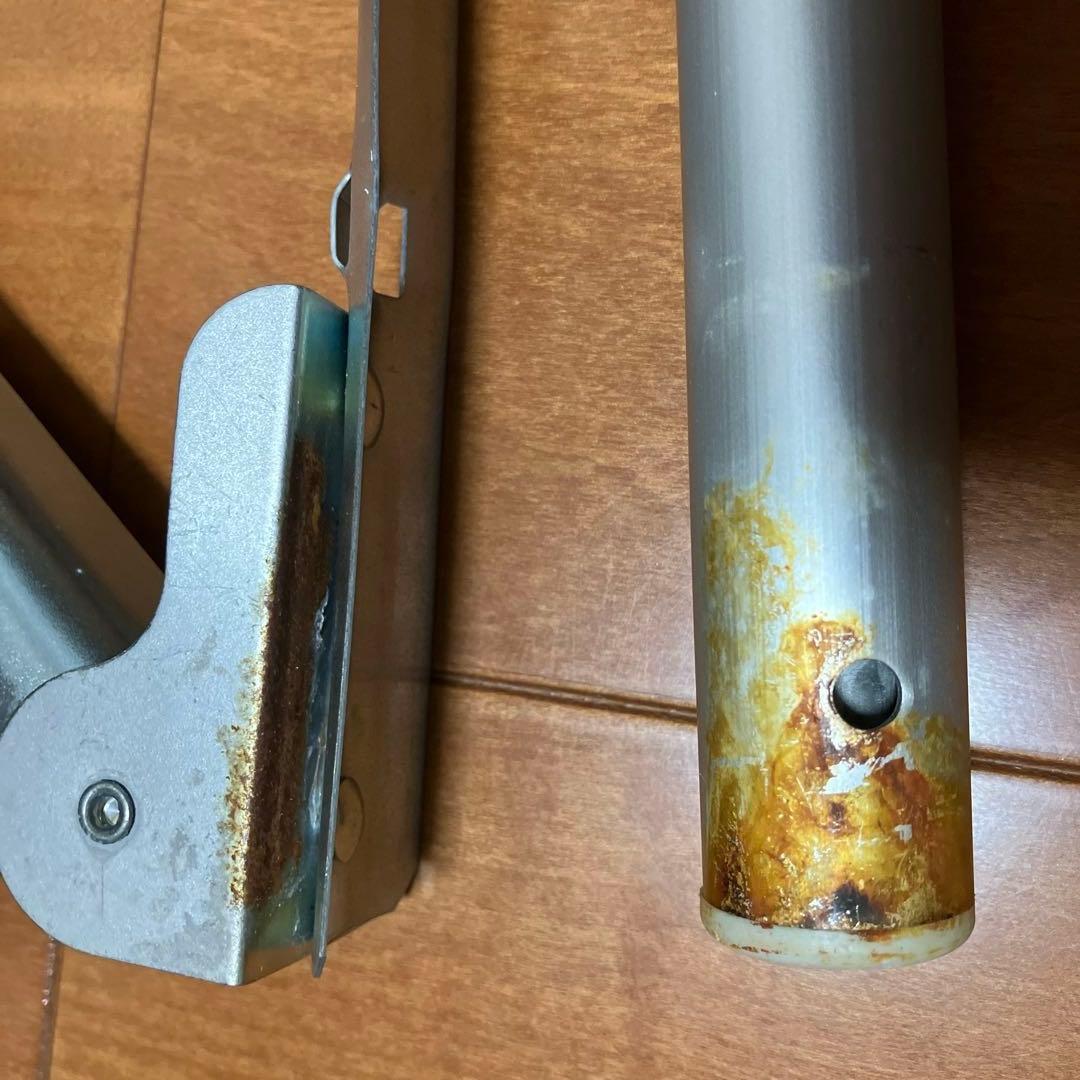 鯉のぼり　龍王本染　別誂(特別注文)　御鯉幟　龍王染本舗