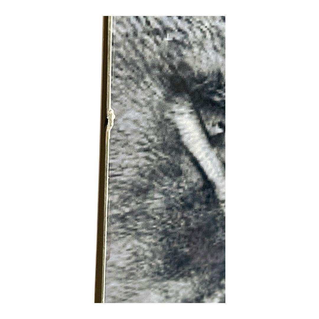 MOSS toto black 155cm スノーボード