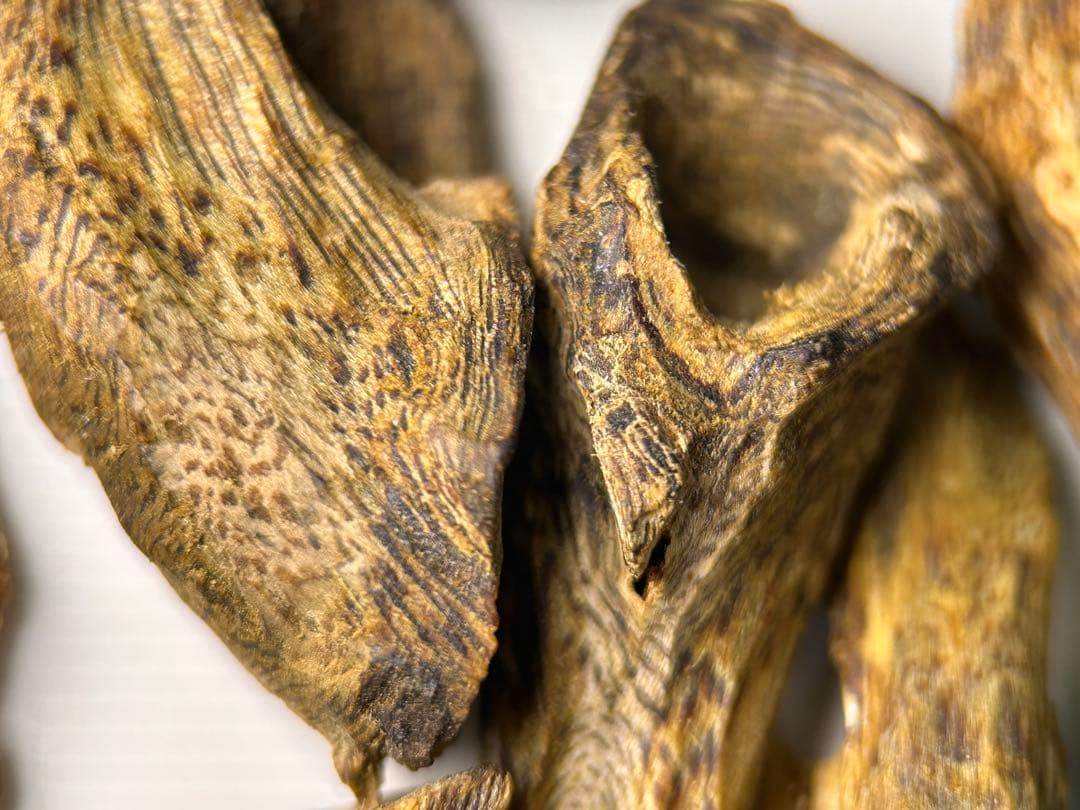 お香 天然沈香 六国五味聞香用 伽羅 香木 2-S-10.155