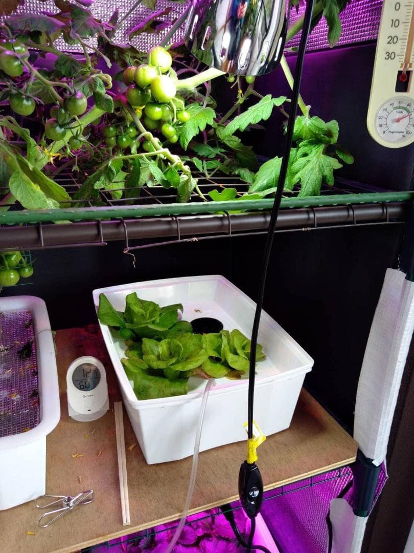 ヒートマット 園芸発芽 保温 育苗器 電源式 植物育苗ヒーターマットL 種まき*