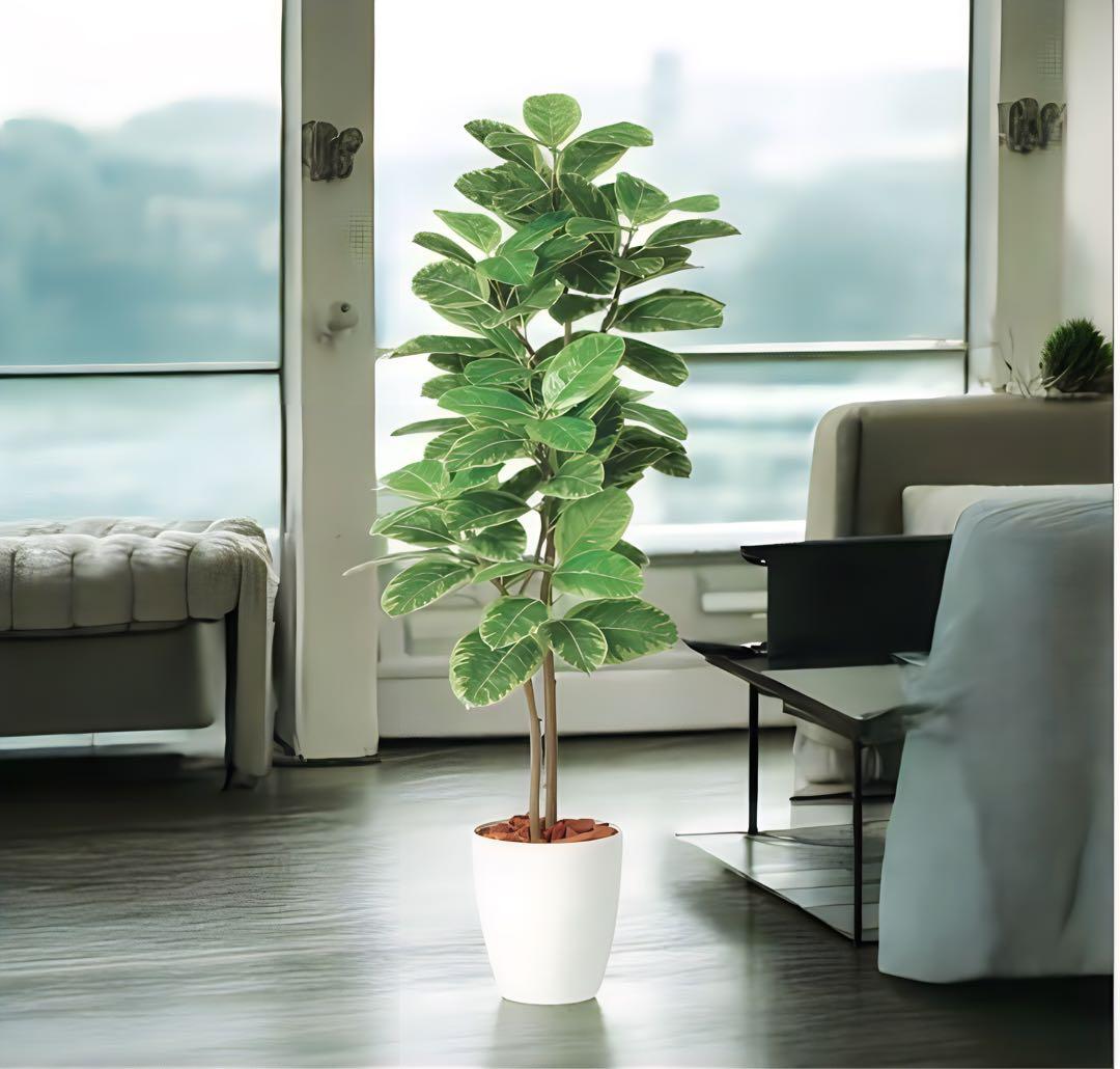 光触媒　人工観葉植物　ウォールグリーン　フェイクグリーン　アルテシマ株立FST