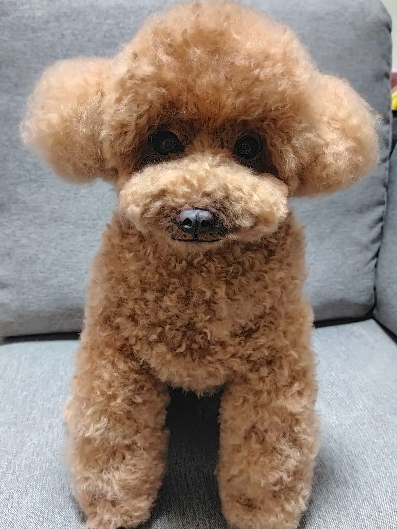 トコタン。トイプーレッドちゃん♡手のひらサイズ