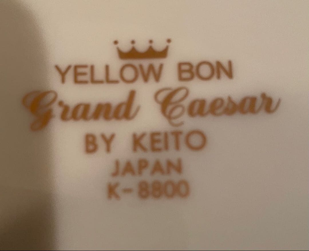 ディナー皿25枚YELLOW BON Grand Caesar by KEITO