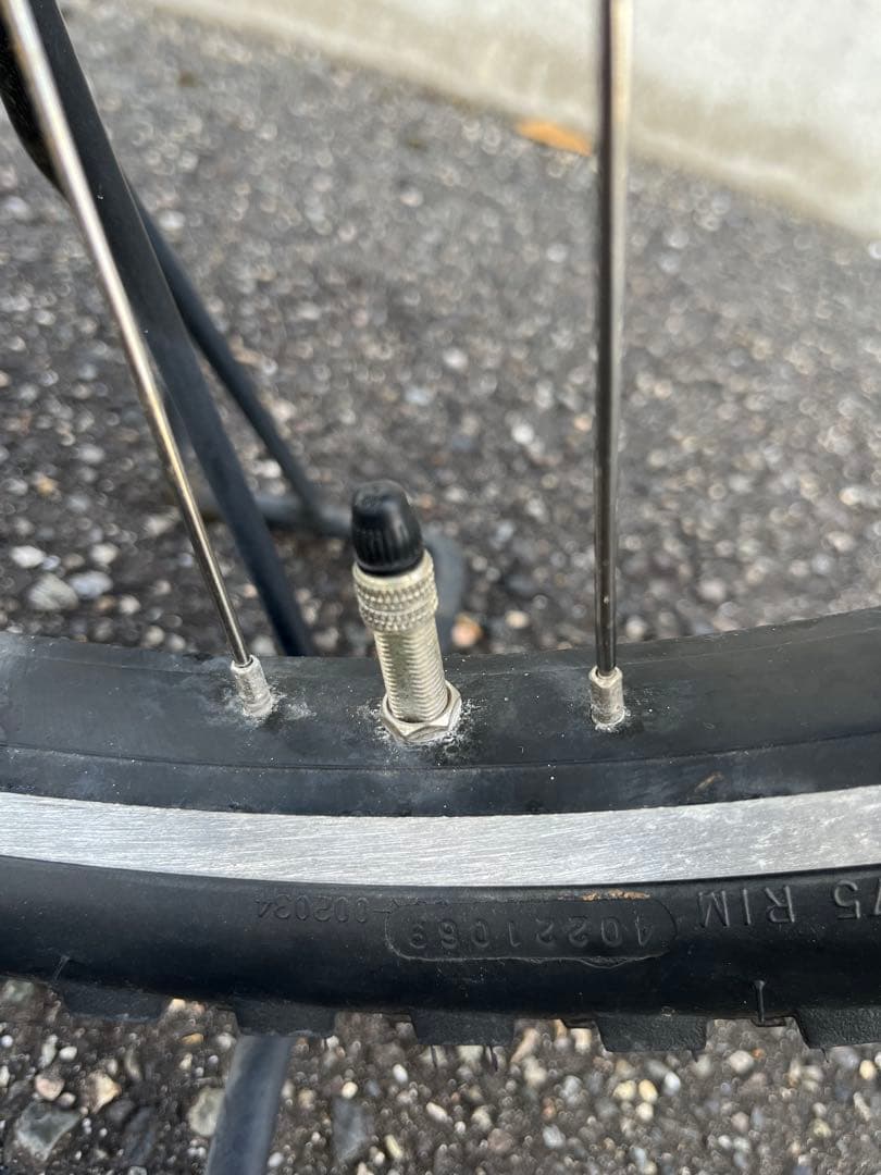 【2023年購入】ブリヂストン HYDEE.Ⅱ（ハイディー2）電動アシスト自転車