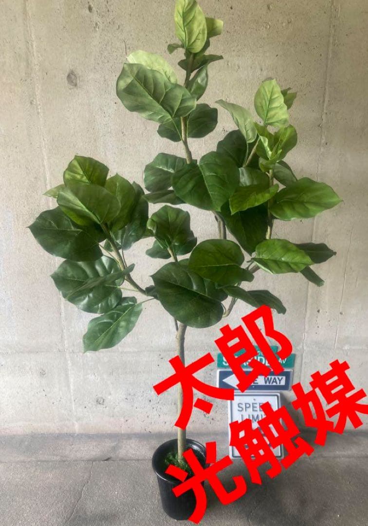 光触媒　人工観葉植物　ウォールグリーン　フェイクグリーン　ウンベラータ144