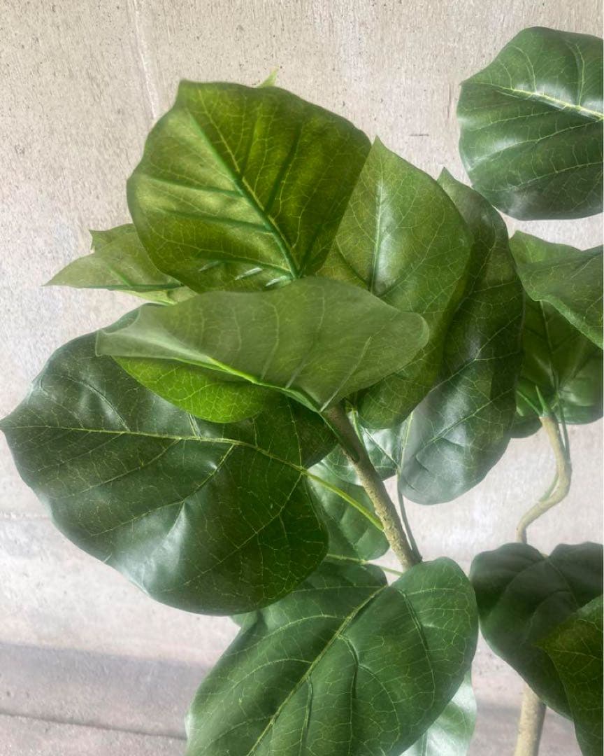 光触媒　人工観葉植物　ウォールグリーン　フェイクグリーン　ウンベラータ144